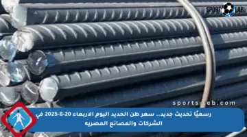 رسميًا تحديث جديد.. سعر طن الحديد اليوم الأربعاء 20-8-2025 في الشركات والمصانع المصرية